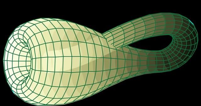 四维空间的生物图片