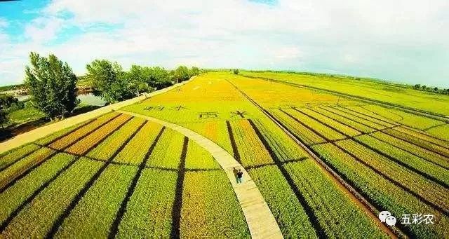 2019年将是国家现代农业产业园创建审批的集