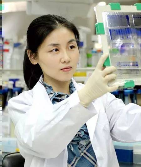 她在清华教书10年,却突然跳槽到美国,离开的