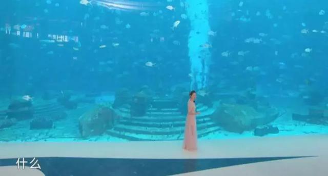 三亚·亚特兰蒂斯，给你一个再来三亚浪漫的理由