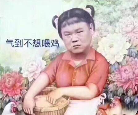 “表情包”岳云鹏为五个姐姐买五所房子