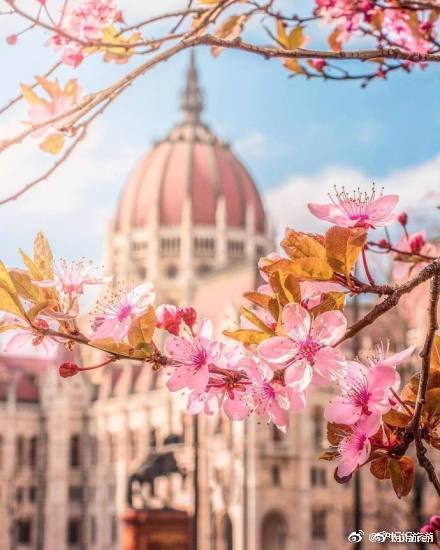 布達(dá)佩斯之春