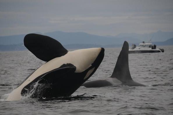 德阳附近如何十米以内加好友及周边旅游推荐详解