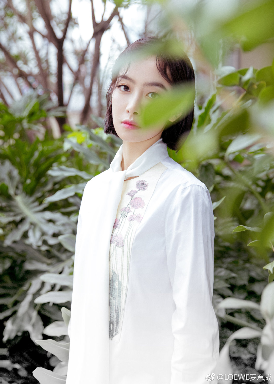 斯诺克王中王赛-乐鱼app(leyu)官方网站-乐鱼官网