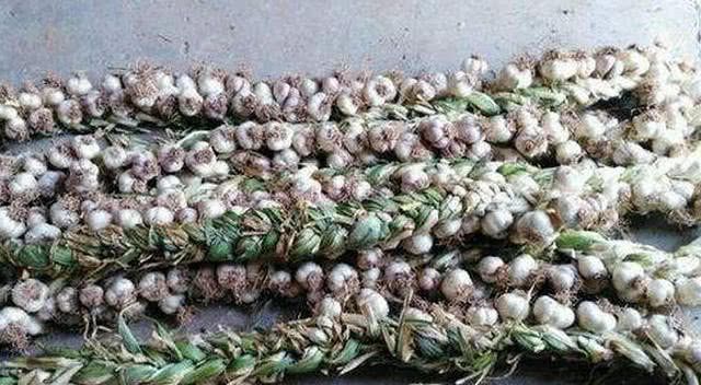 18年大蒜价格把蒜农们坑苦了,你觉得19年还能
