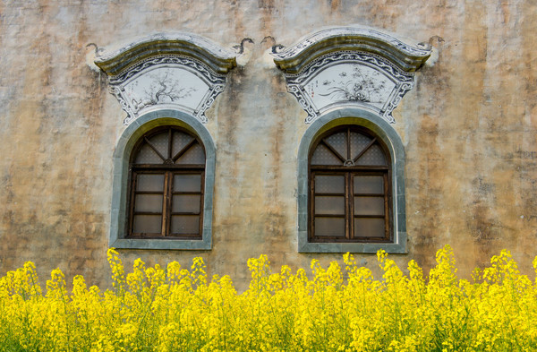 别去日本赏樱了,国内这些地方的樱花即将成片绽放 别去日本赏樱了,国内这些地方的樱花即将成片绽放