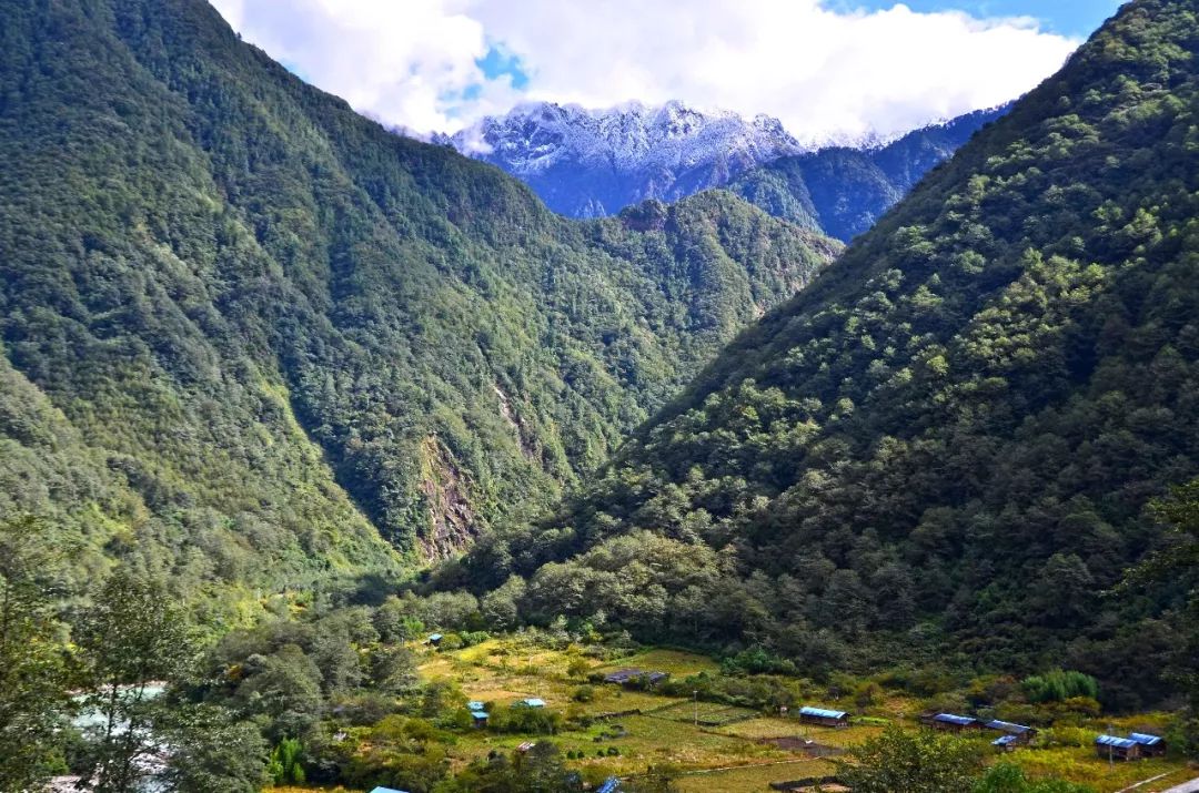 云南少生人口_云南人口密度分布图