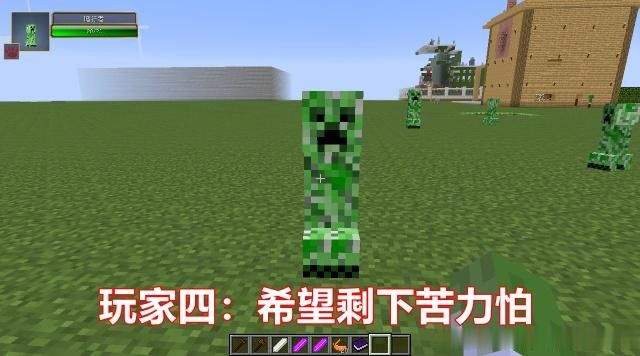 假如MC只剩下一个物品,你最希望是什么?