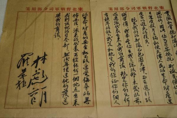 林伟俦，南京保卫战中唯一获得青天白日勋章的国军将领