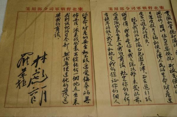 林伟俦，南京保卫战中唯一获得青天白日勋章的国军将领