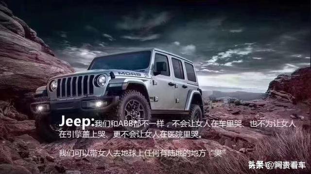 奔驰女车主坐发动机盖上哭,各车企神助攻护女