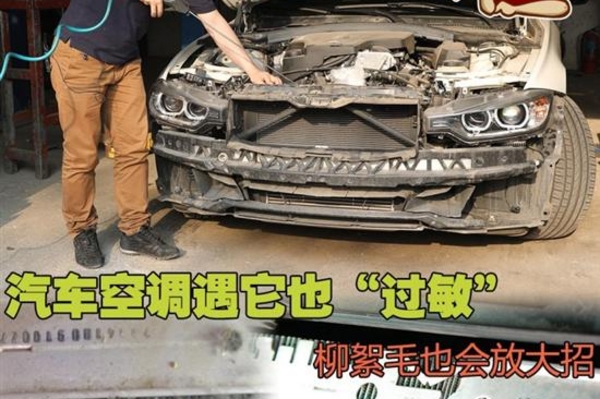 柳絮毛放大招 汽车空调遇它也“过敏”