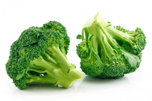 狗狗不可以吃蔬菜？这6种蔬菜，可以喂！
