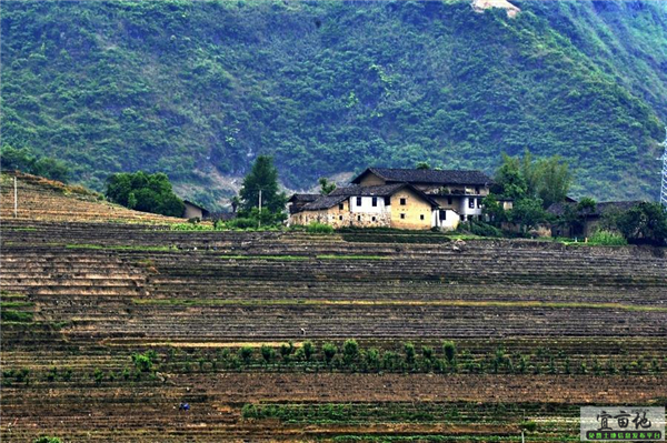 农村土地租赁多少钱一亩?租赁期限最长多久?