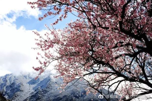 如果你對(duì)西藏的印象只是藍(lán)天、白云和雪山