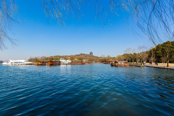 别去日本赏樱了,国内这些地方的樱花即将成片绽放 别去日本赏樱了,国内这些地方的樱花即将成片绽放