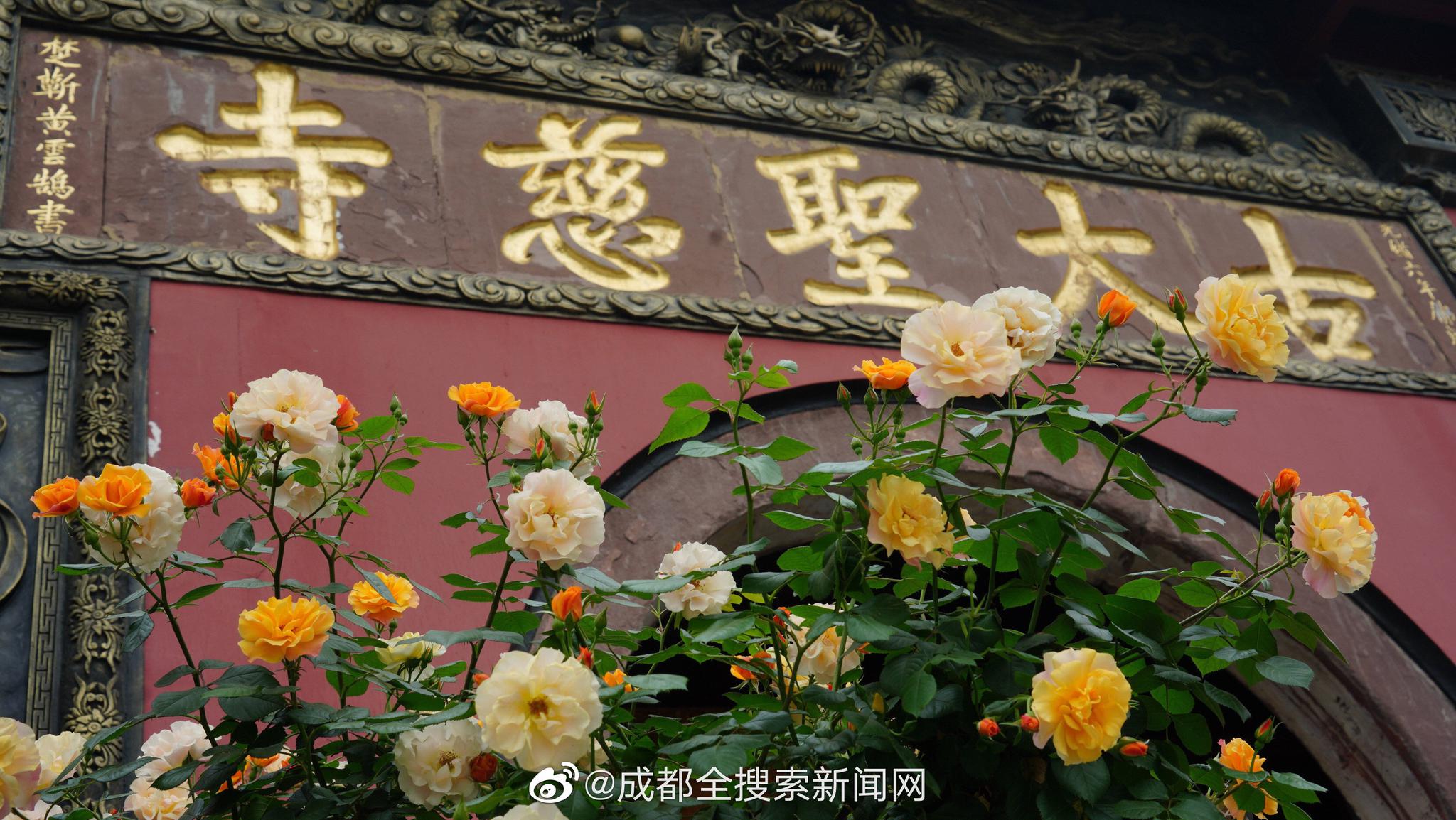 戴绿帽子商务旅行，女老板的在线视频与剧情介绍
