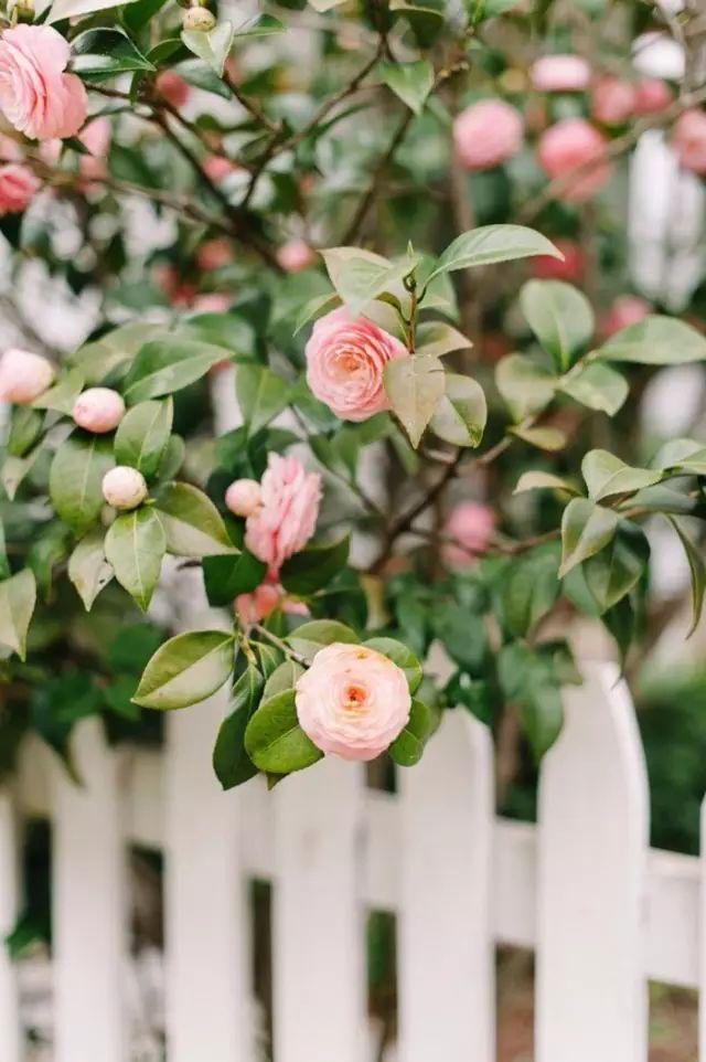 爱旅行女孩的20个缺点和1个优点