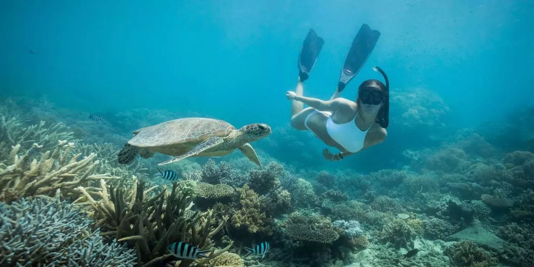 极致热带风情,凯恩斯浪漫会奖旅游