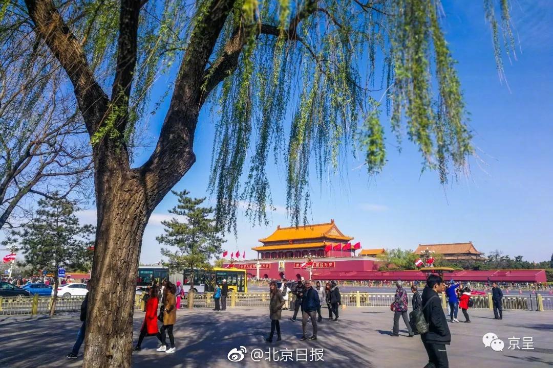 养欲之恩，深度解析与在线观看指南