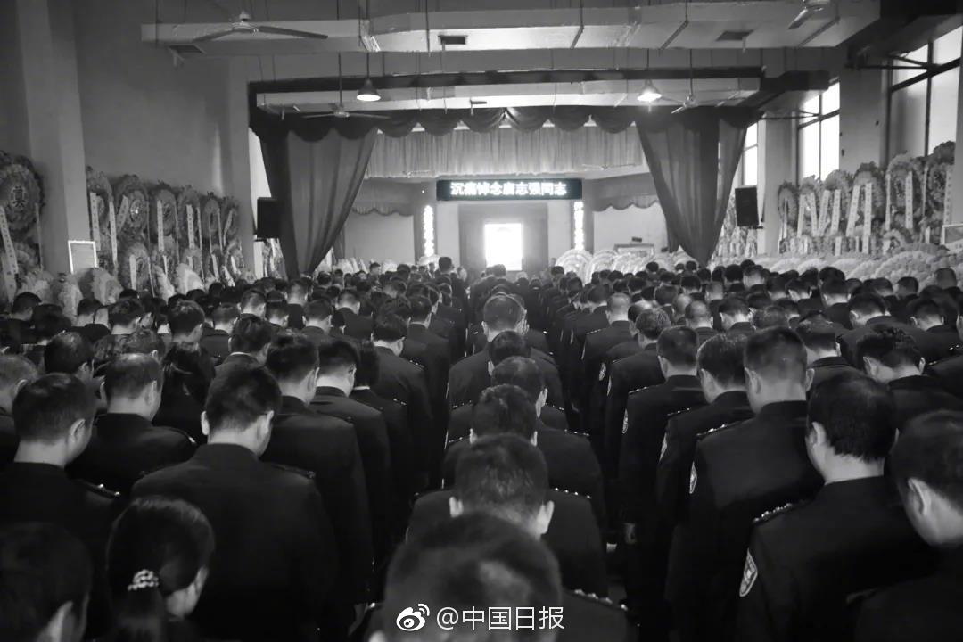 习近平会见奥地利总理