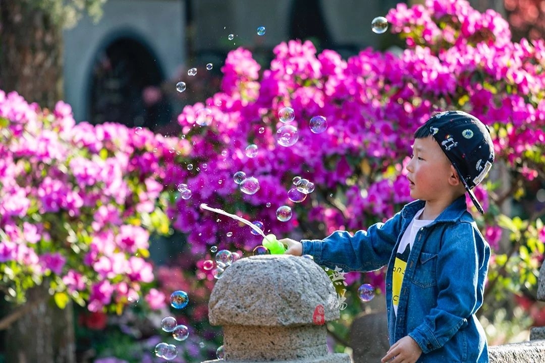 你们争天下第一争个头破血流,我独守第二照样名满天下,还是乾隆御封的!
