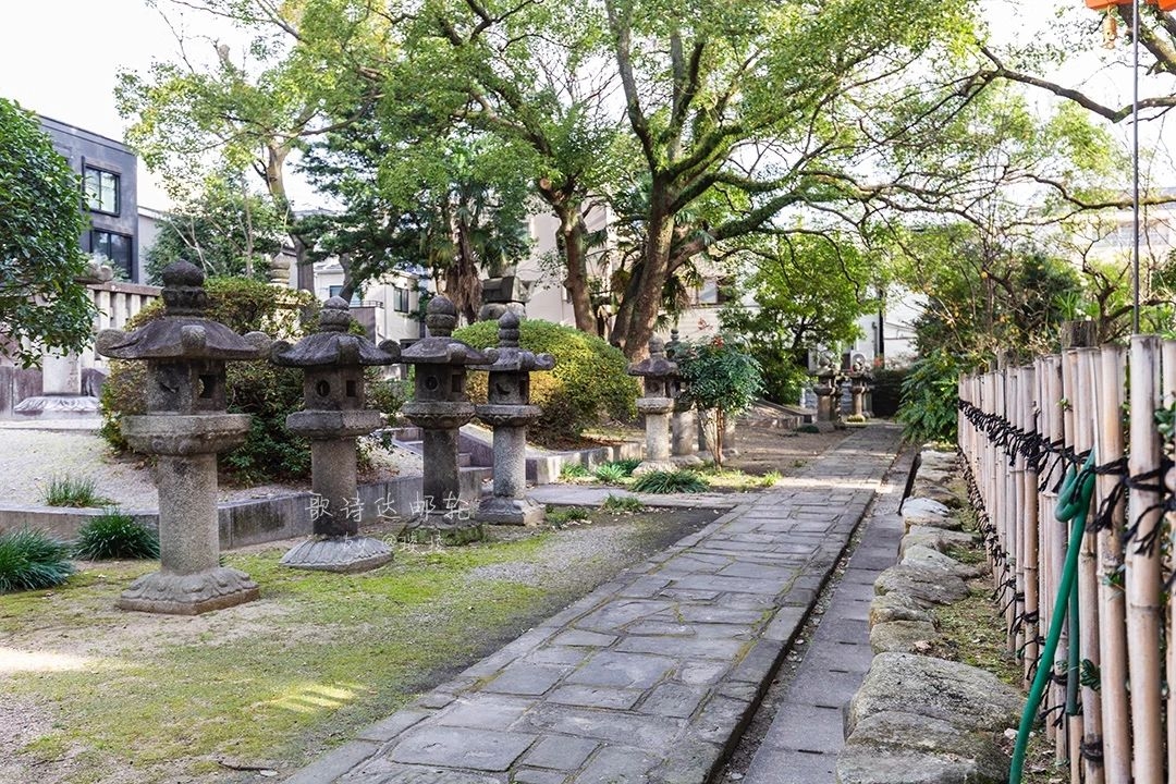 去《旅行青蛙》去过的地方,吃一碗<a href='http://travel.sina.com.cn/boduo-lvyou/?from=b-keyword' target='_blank'>博多</a>拉面,最吸引我的居然是那个溏心鸡蛋