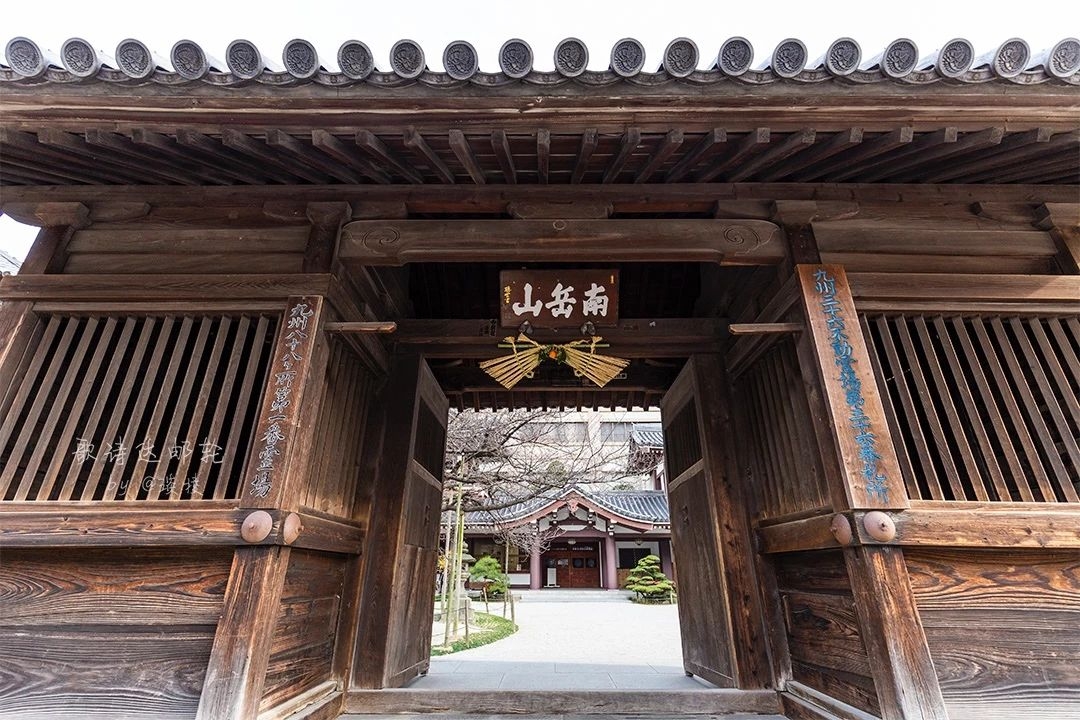 去《旅行青蛙》去过的地方,吃一碗博多拉面,最吸引我的居然是那个溏心鸡蛋