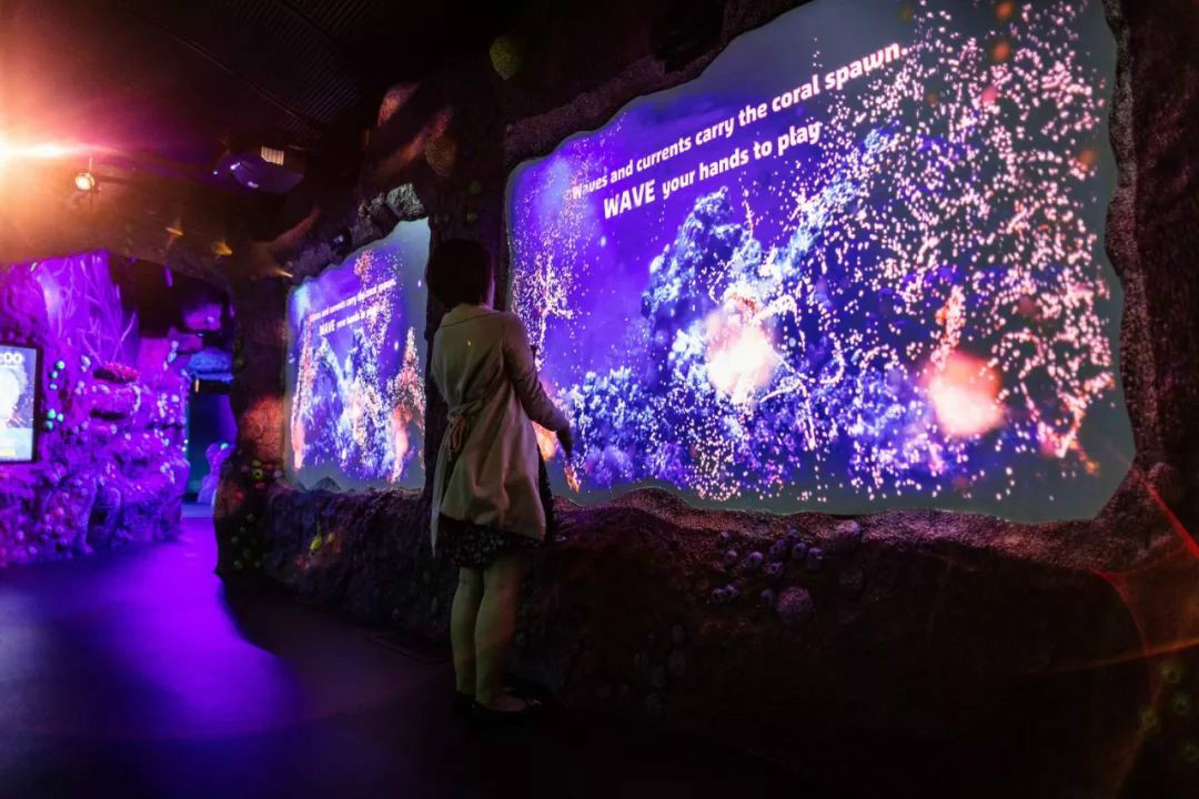 悉尼海洋生物水族馆推出全新会议场地