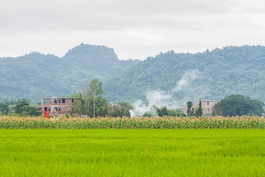 在中国最美七大丹霞之首，竟然藏着一个700年历史的绝美古村