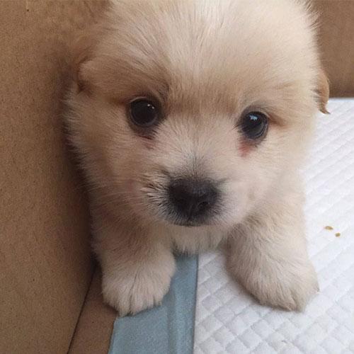 校园预警:早期发现学生行为偏差的十五个信号与干预策略