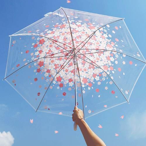心理测试:假如突然下雨,你会买哪把雨伞?测谁愿意为你遮风挡雨