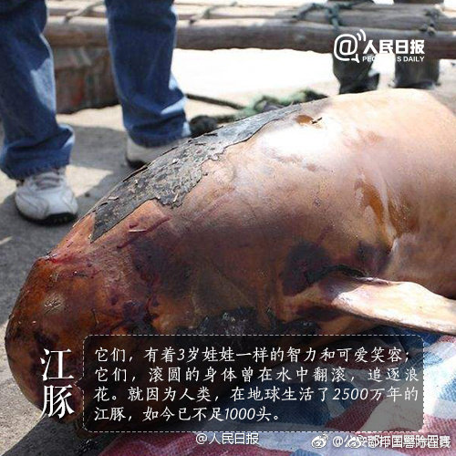  智能时代：羽毛球比赛 未来如何玩转高科技设备？