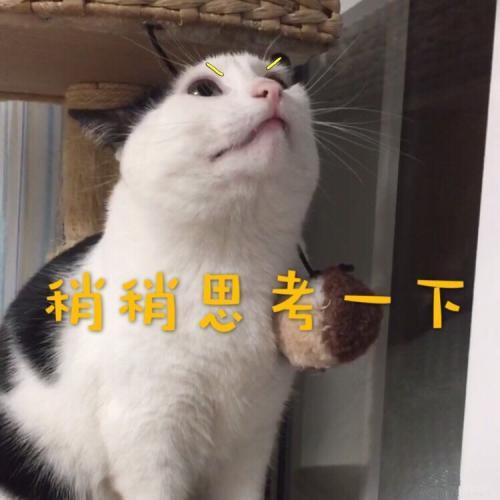 欢笑集锦:因为我是仙女下凡来报你的恩的