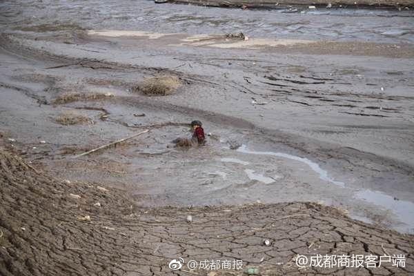 孕妇为什么要做唐筛、无创DNA和羊水穿刺？