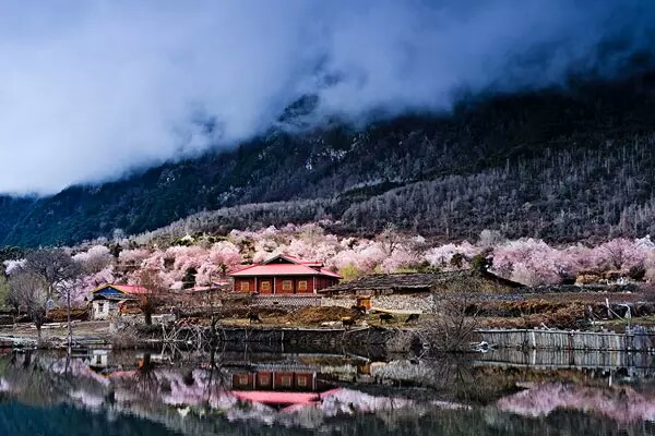 西藏竟然隱藏著一個小瑞士——林芝