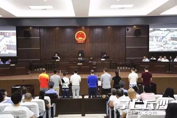 长沙两男子勾结房产中介、税务干部,伪造400多