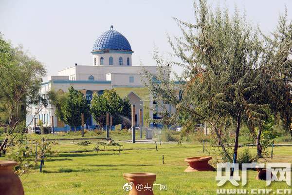 孝道新说短视频 古韵今风暖重阳