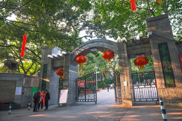中山翻重庆旅游(重庆到中山)(图2) 来重庆旅游,这三个网红打卡点很近很火,