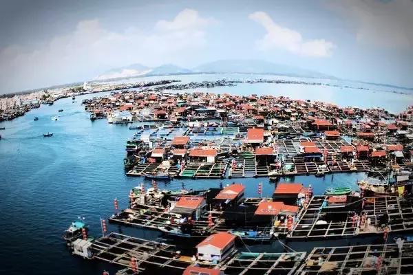 人猴同乐:温暖天堂,海南南湾猴岛!