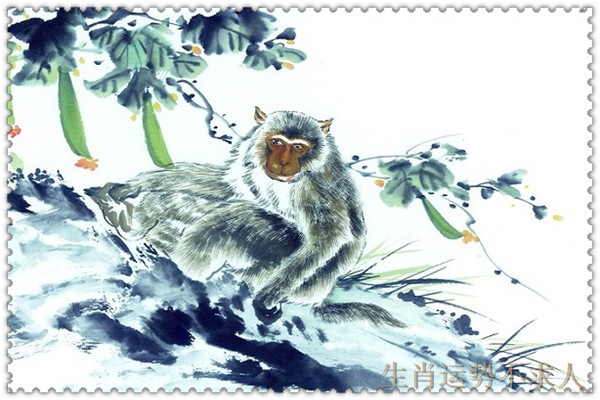 害太岁是什么意思 生肖猴2019年害太岁怎么破