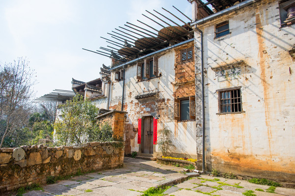 别去日本赏樱了,国内这些地方的樱花即将成片绽放 别去日本赏樱了,国内这些地方的樱花即将成片绽放