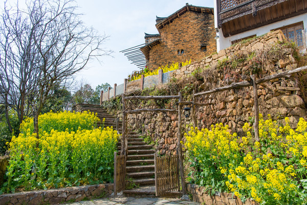 别去日本赏樱了,国内这些地方的樱花即将成片绽放 别去日本赏樱了,国内这些地方的樱花即将成片绽放