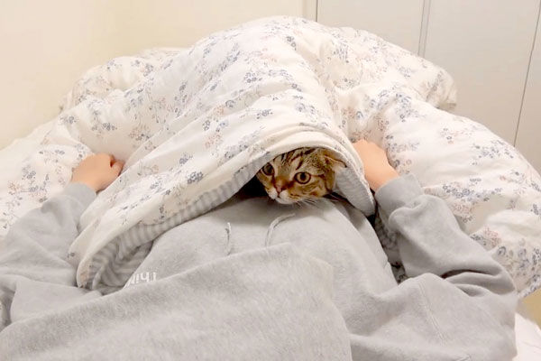 朋友生病躺床上休息,猫对她做出刨砂动作,朋友不明真相顿感心寒