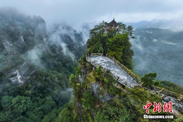 澳门管家婆婆