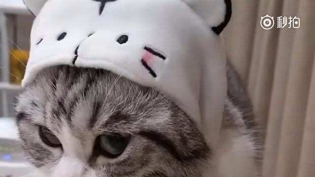 watchingyou表情包,iwantyou表情包 小脑斧 is watching you