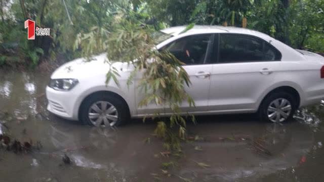 YdFE-hexfcvk2120126.jpg