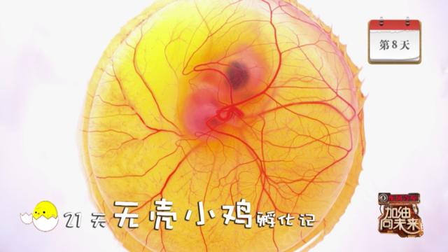 第一个里程碑式的跨越! 】加油向未来无壳.