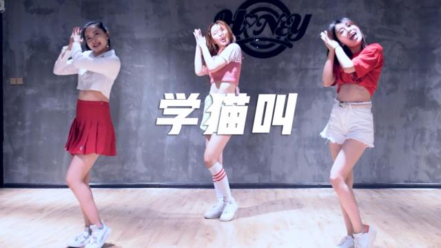 全民舞蹈季 口袋舞蹈【《学猫叫》翻跳】"我们一起学猫叫,一起喵喵喵
