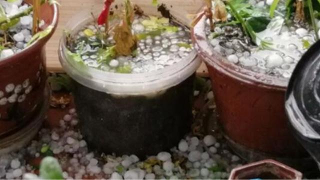 中青网新闻中心的看点主页